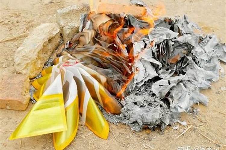 属猪2025年运势及运程详解