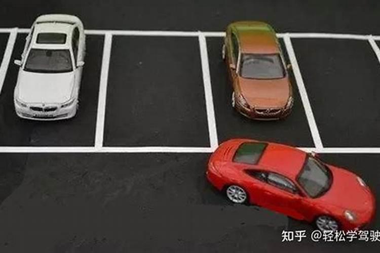 2025属蛇的全年运势运程 属蛇人2025年每月运势