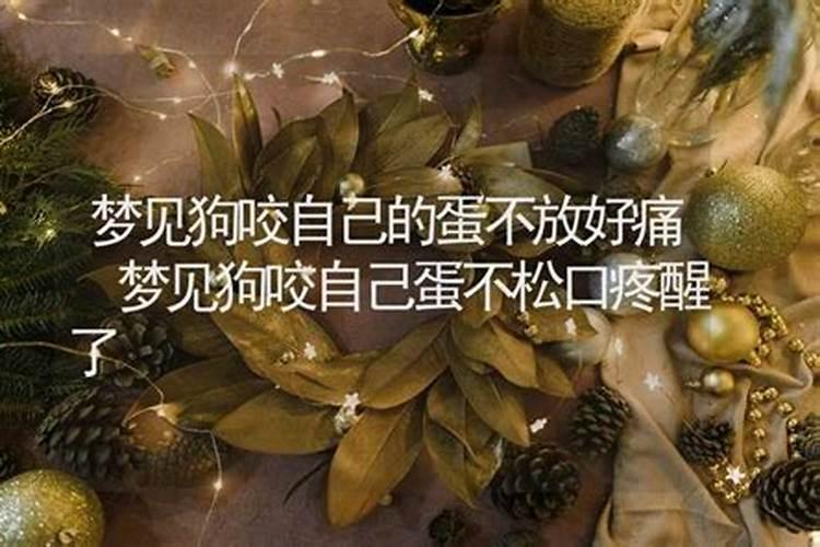 属羊人和什么生肖最配？