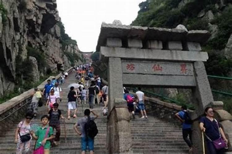 属蛇的2025年运势和财运怎么样