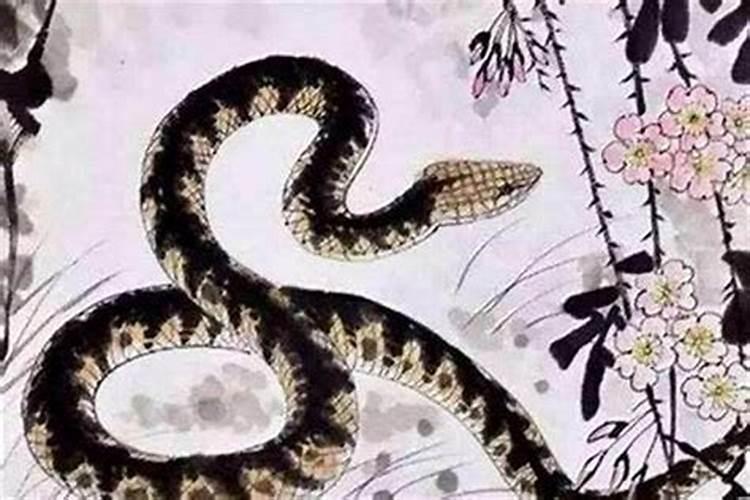 属蛇农历六月出生是什么命格