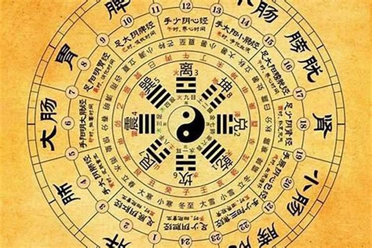 2025年属蛇人的全年运势如何