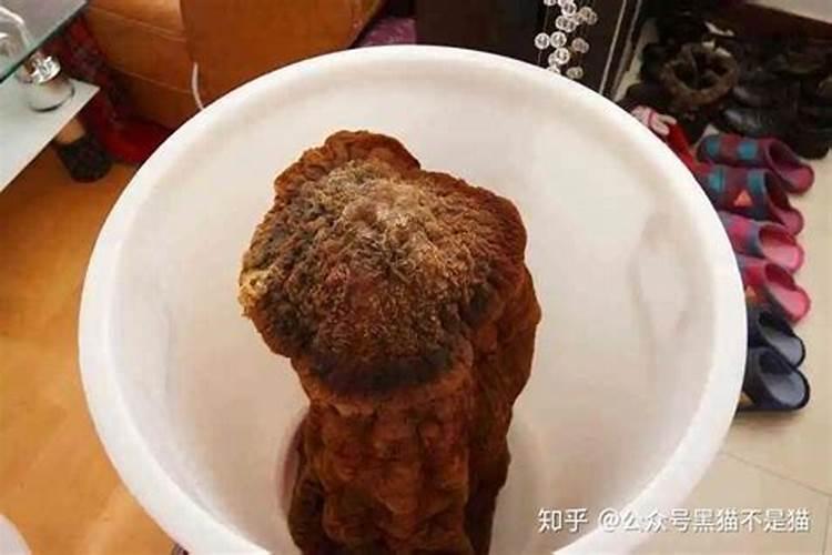 亲人出车祸很严重,该念什么经祈福？？？求佛祖保佑,阿弥陀佛。