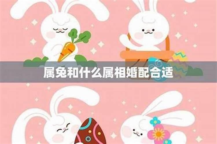 86属虎2025全年运势