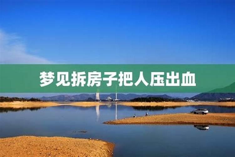 属兔2025年运势