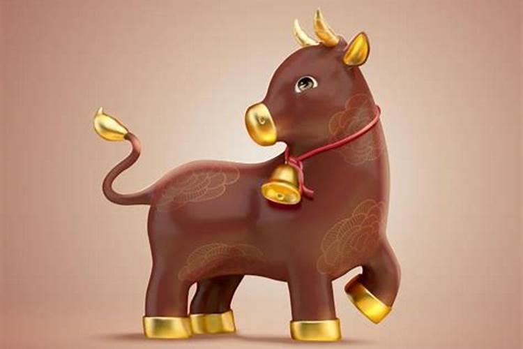 牛今年多大年龄了？