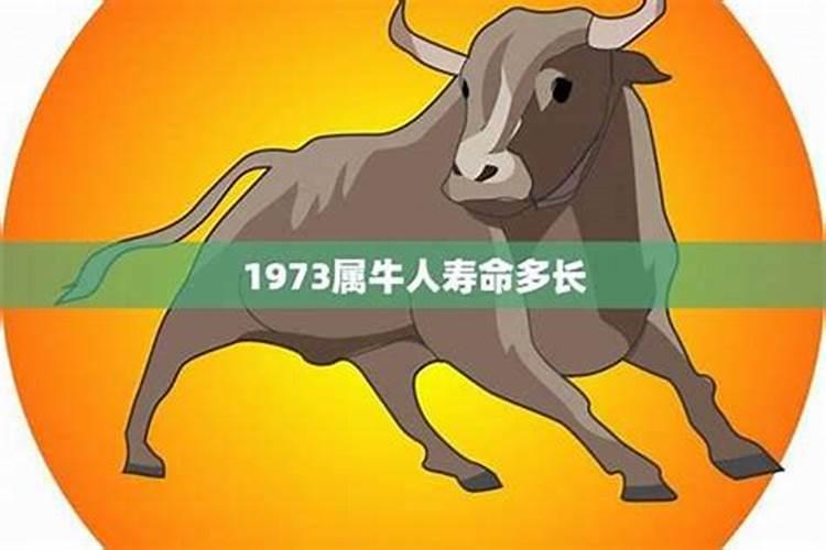 生肖猪2025年运势 属猪2025年运势及运程