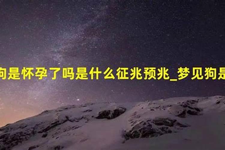 梦见狗是胎梦吗