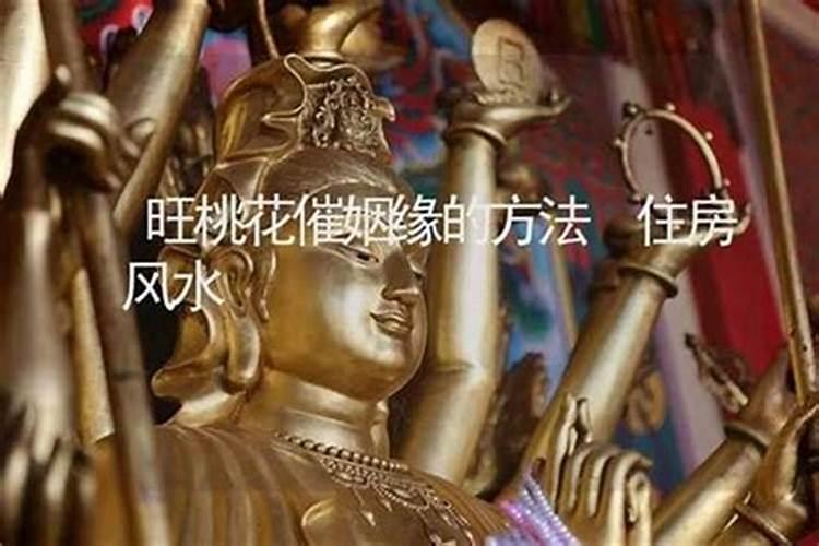 五明佛学院超度亡人谁最厉害