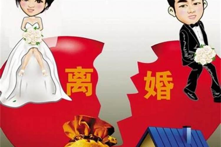 属马和属兔的适合做夫妻吗 男马女兔适合做夫妻吗