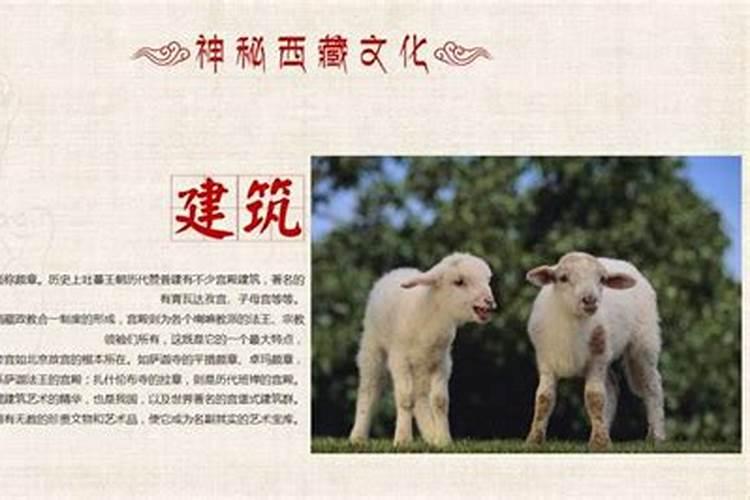 1979年属羊人是什么命 今年属羊人财运运势？