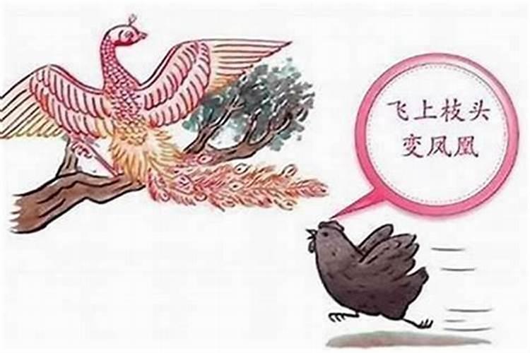 属鸡人2023年有犯太岁吗？往年运势如何？