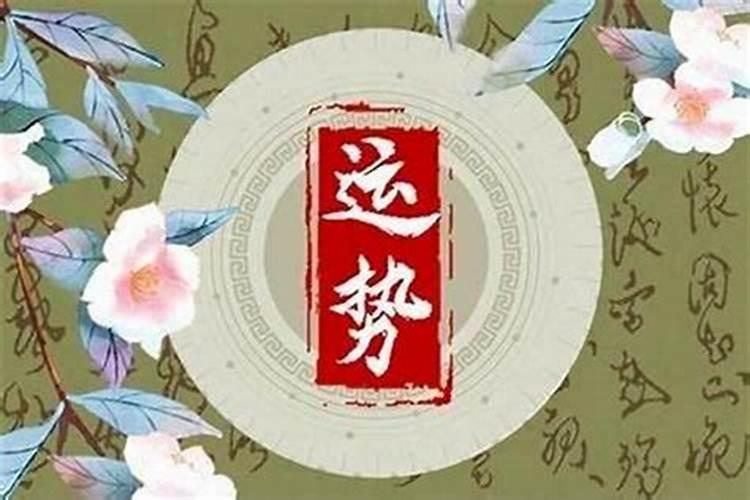 鸡年犯太岁的生肖