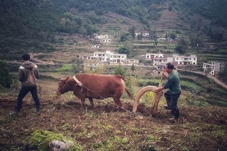 小人最怕什么招对付他
