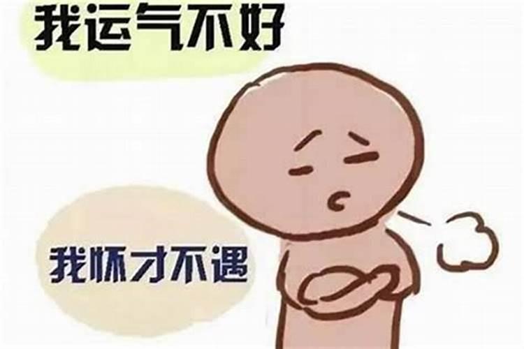 如何选择龙龟伏子龙龟的作用