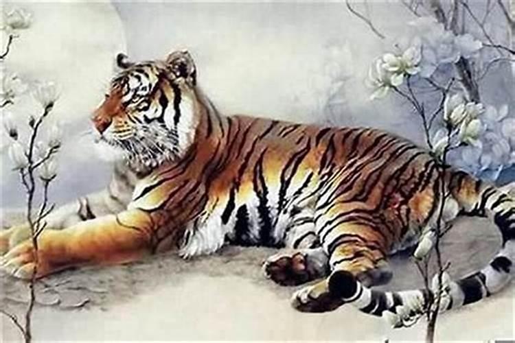 1998年属虎本命年要注意什么 可以在本命年谈恋爱吗？