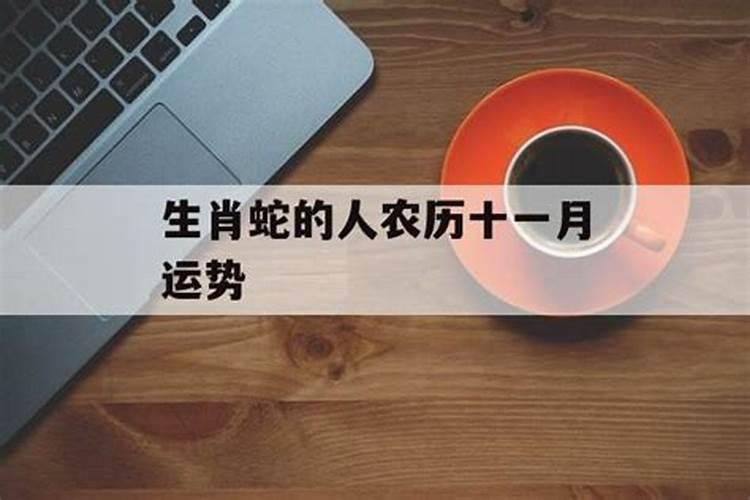 11月属蛇的人命好吗？