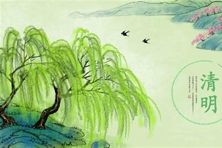 1969年属鸡人在2024年的全年运势