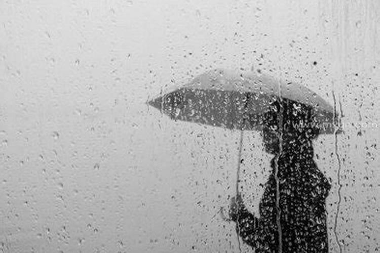 梦见下雨了有什么预兆