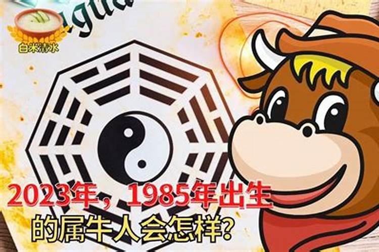 85年属牛转大运年龄