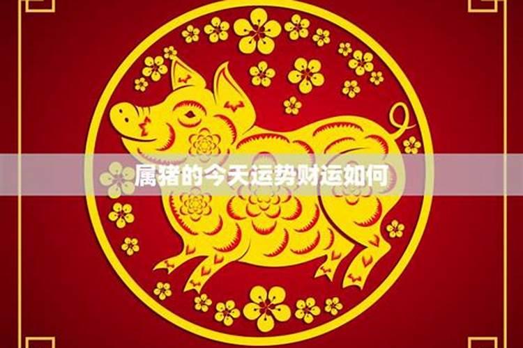 ...太岁怎么化解 2025年属猪佩戴什么可以化解犯太岁
