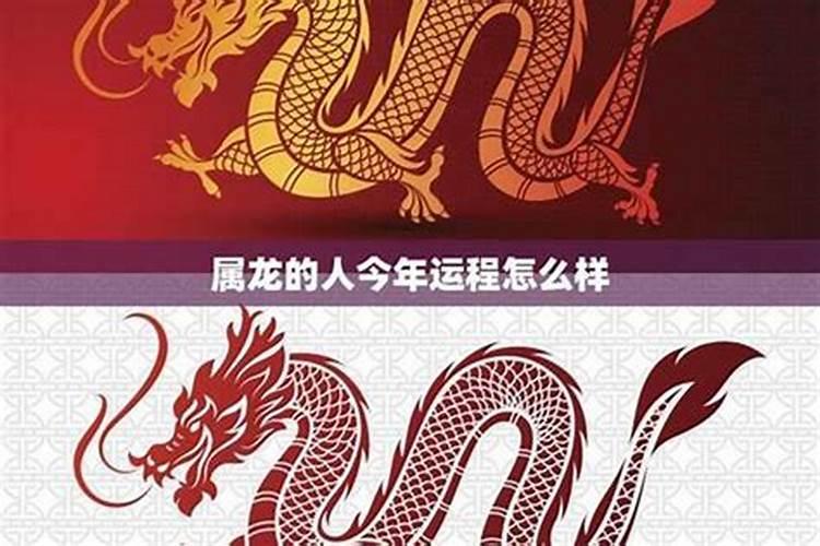 生肖牛2025年运势及运程如何