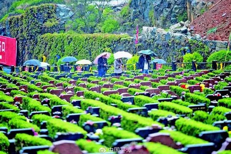 今年清明节还能扫墓吗