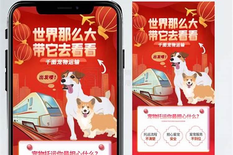 克太岁是什么意思