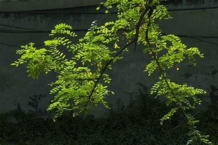 机械公司起名大全简单大气公司起名字大全