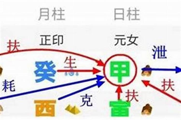 属鼠与属马的婚配有没有马鼠过一辈子的？