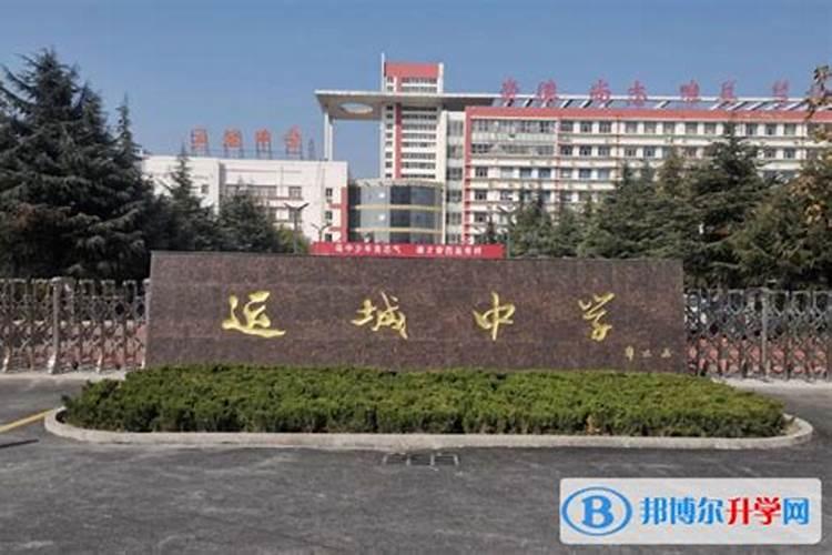 99年兔2025年运势及运程