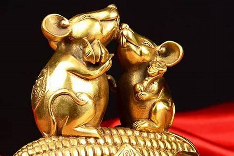 子鼠今年多大
