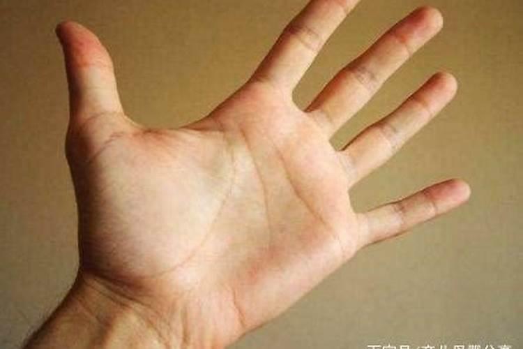 可帮你化解职场小人的饰品