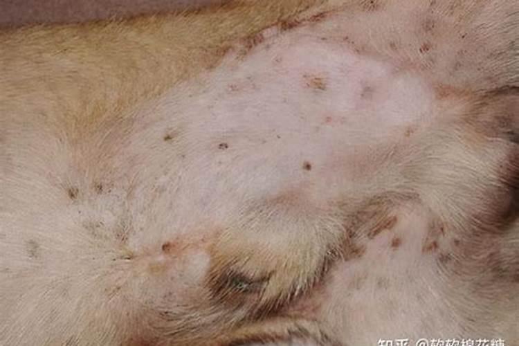 奶块死神会掉落什么