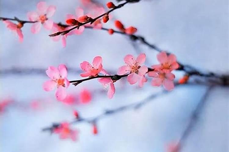 八字怎么算合不合适,怎样算夫妻八字合不合