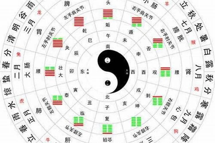 虎和兔相配婚姻如何