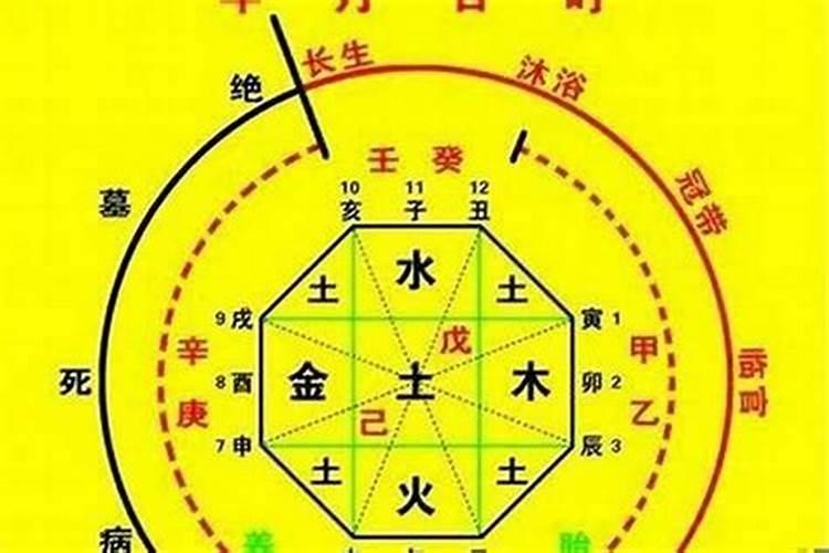 2025属马的财运和运气如何