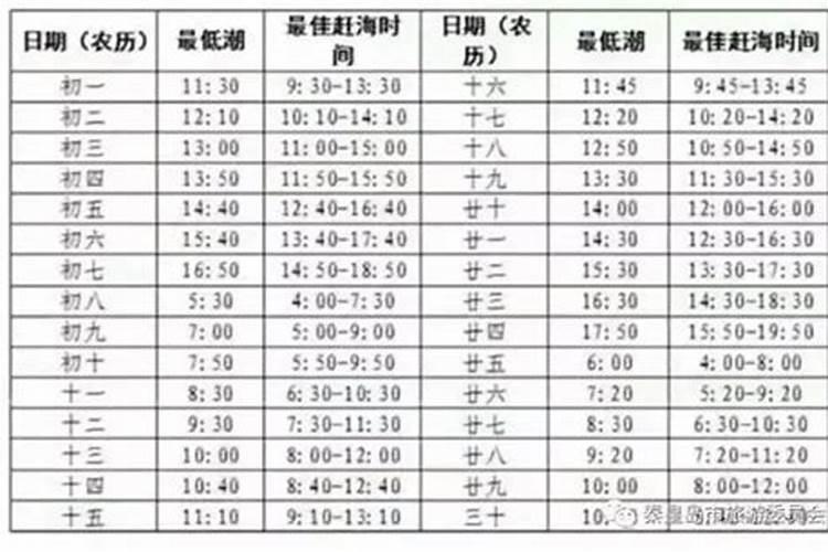 算命中的伤、食、才、财、官、杀、印、枭、什么意思,好不好