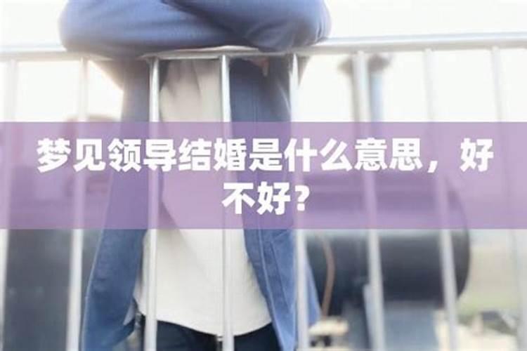 属牛2025年运程分析