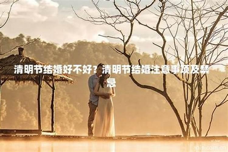 生肖鸡2025年运势 属鸡2025年运势及运程