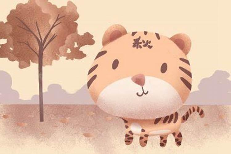 堕胎后多久可以恢复