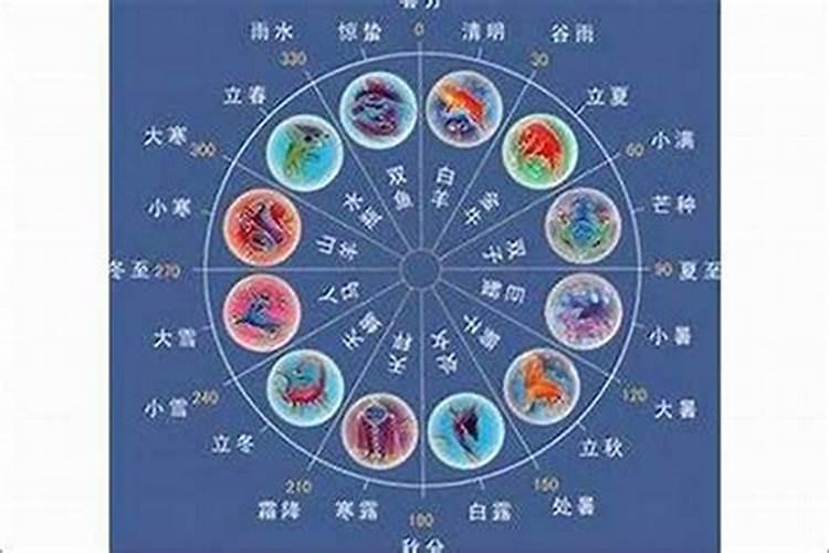 70年的狗2025年运势