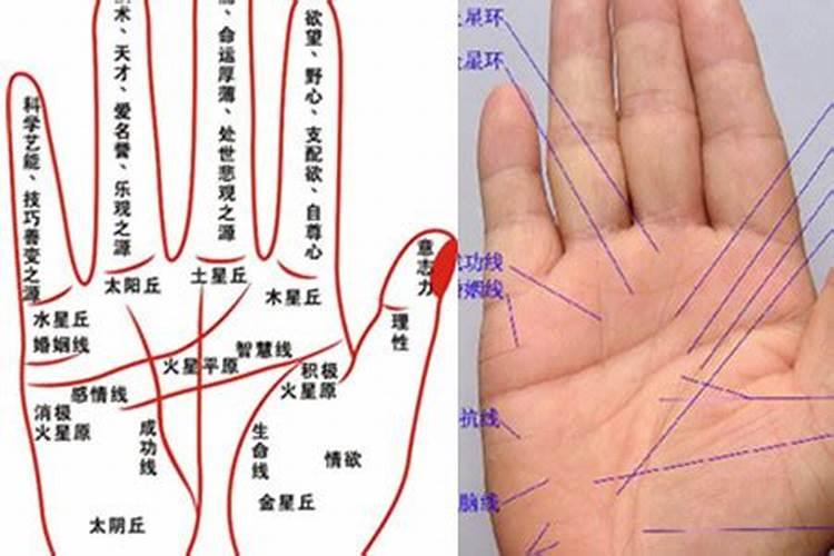 哪天适合上坟