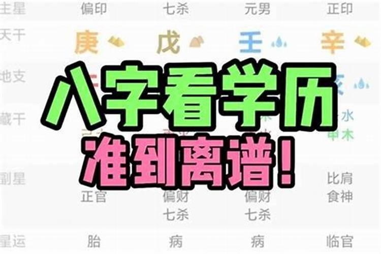 从八字看孩子的学习情况,从八字看你的孩子是否学业有成