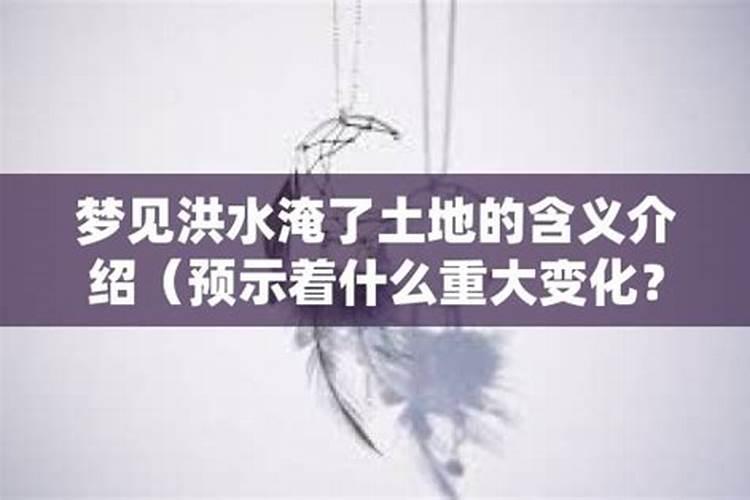 2025年三支一扶新政