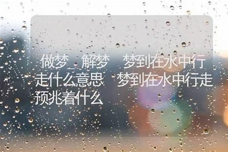 属虎人2025全年运势详解 属虎人2025年每月运势