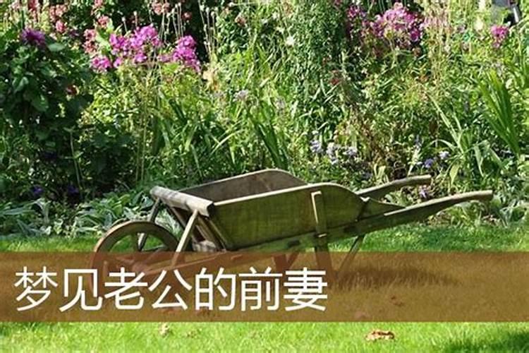 生肖马2025年犯太岁吗