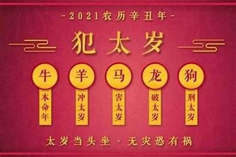 属马人哪一年犯太岁最严重,各方面运势如何