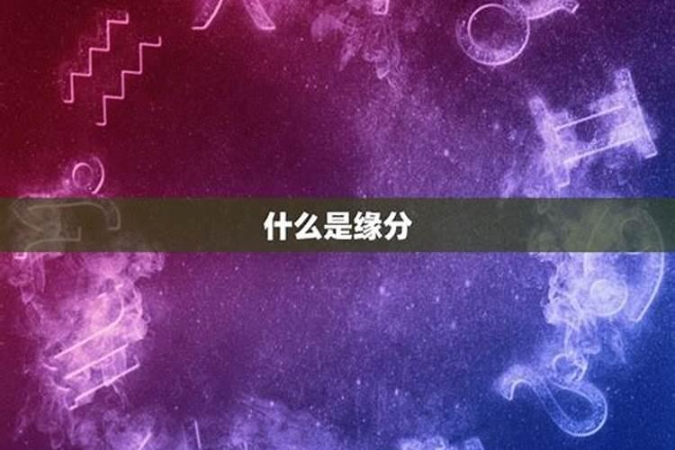 88年2025属龙的运势