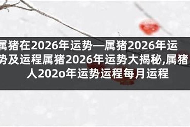 2025属猪今年有一难 属猪人2025年综合运势
